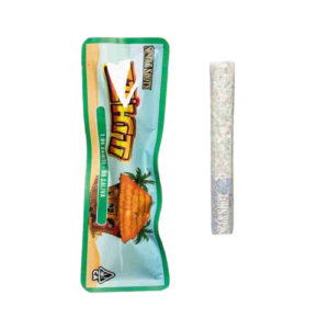 Backpackboyz ZaHiti preroll- 1G Single Shot Preroll