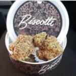 Biscotti tins_3.5