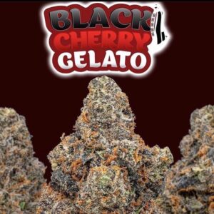 Backpack Boyz Black Cherry Gelato