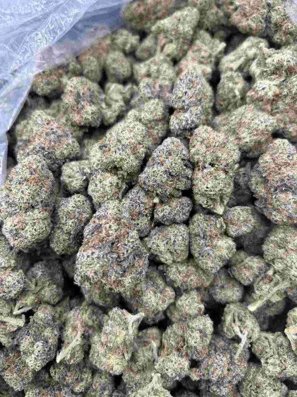 Blue Guava Gelato Strain Backpack Boyz