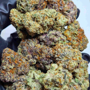 ZLUSH PUPPIES Strain Backpack Boyz