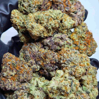 ZLUSH PUPPIES Strain Backpack Boyz