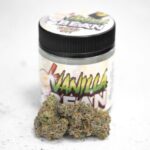 Vanilla Bean Jar