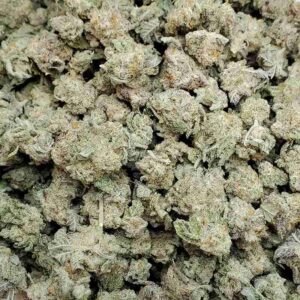 Buy Backpack Boyz Z Strain Online