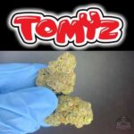 Buy Blue Tomyz Strain